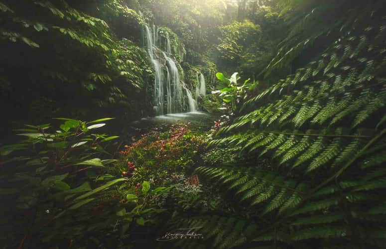 Banyu Wana Amertha Waterfall