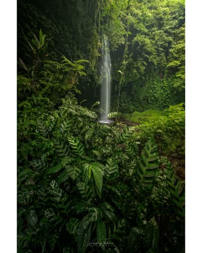 Banyu Wana Amertha Waterfall