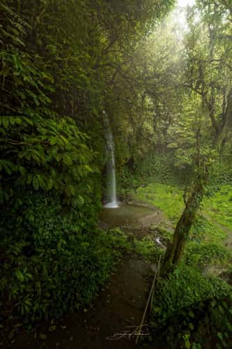 Banyu Wana Amertha Waterfall