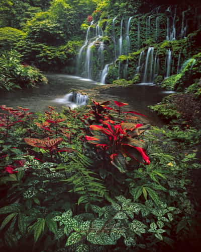 Banyu Wana Amertha Waterfall