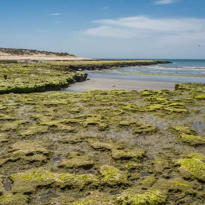 Between Punta Loma and Cerro Avanzado, Argentina