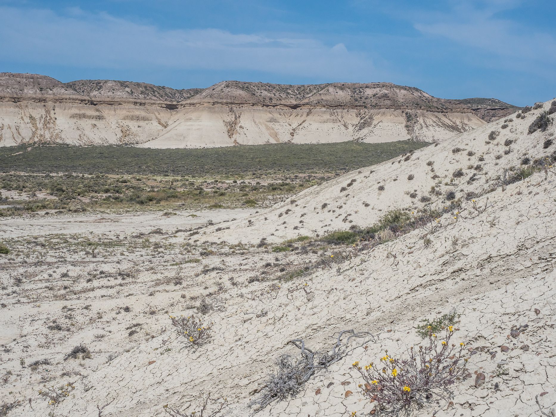 Between Punta Loma and Cerro Avanzado, Argentina