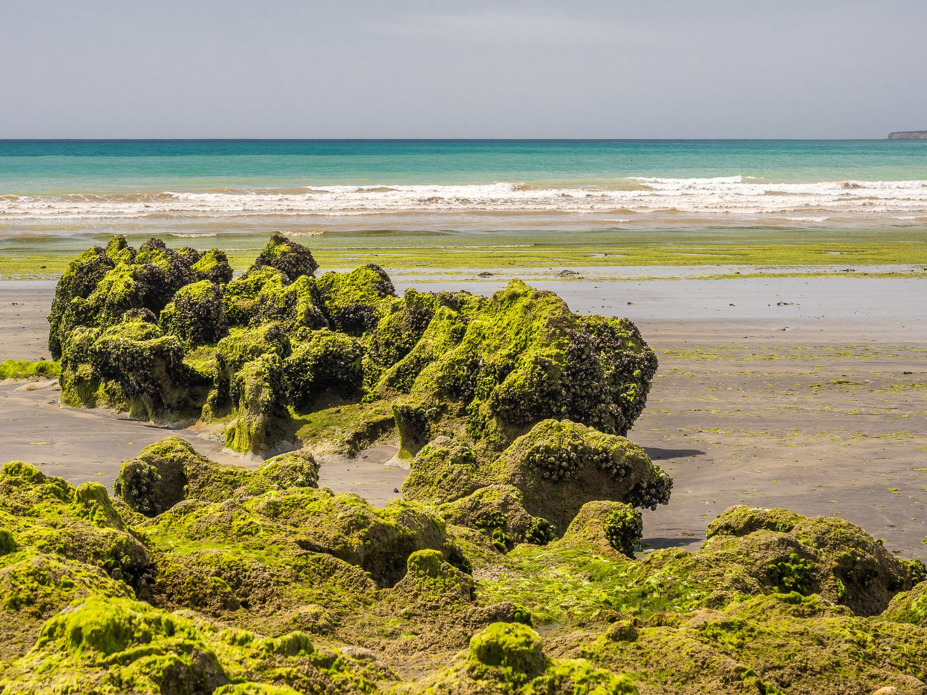 Between Punta Loma and Cerro Avanzado, Argentina
