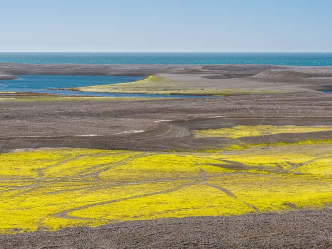 Caleta Valdés, Valdés Peninsula