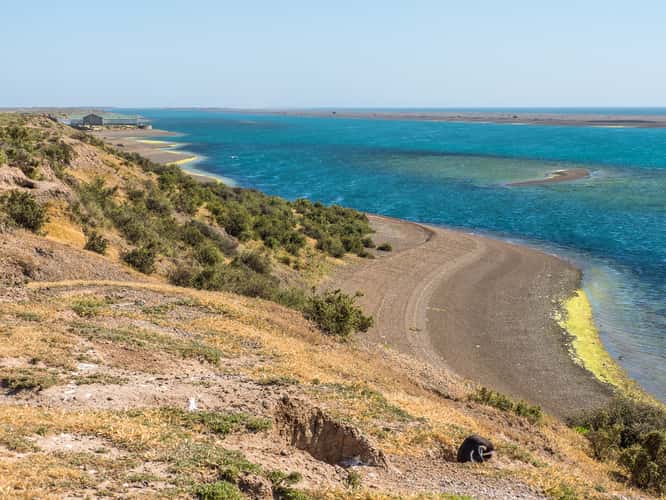 Caleta Valdés, Valdés Peninsula
