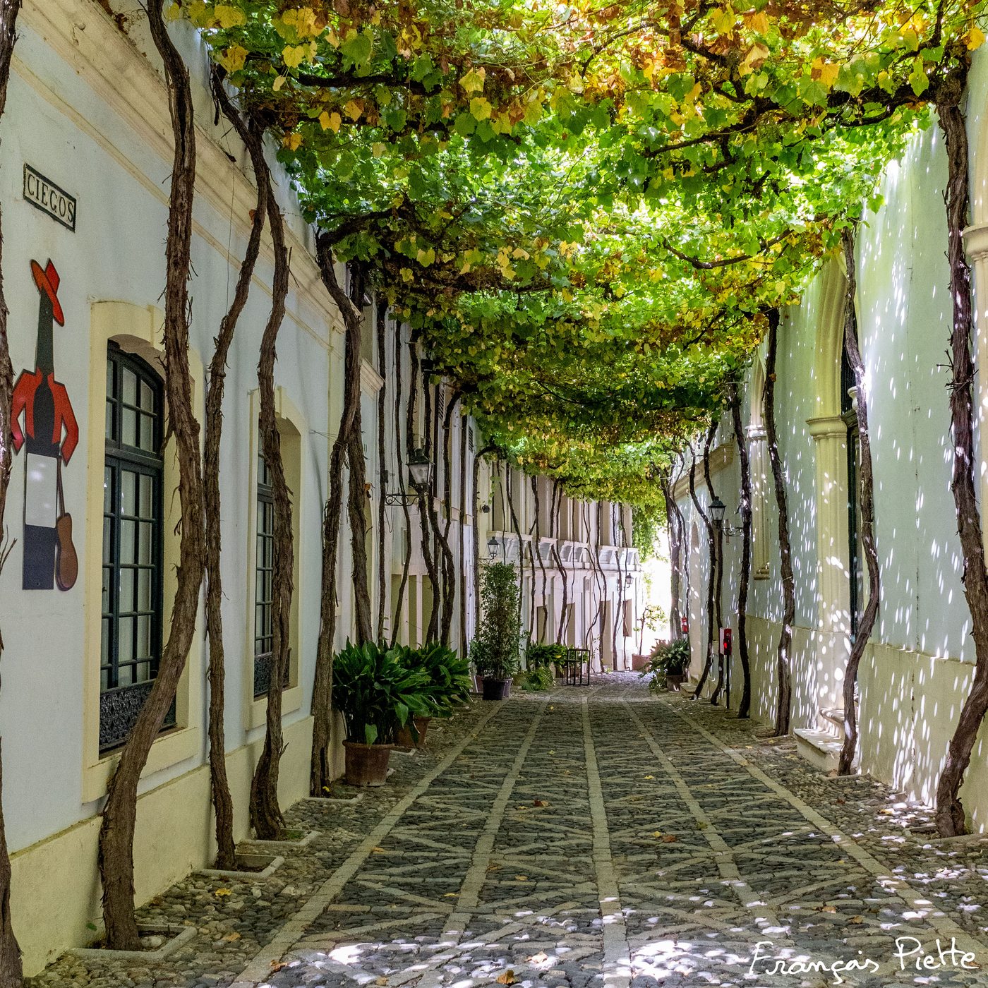 Top Photo Spots At Jerez De La Fronterea In 2024 top-photo-spots-at-jerez-de-la-fronterea-in-2024