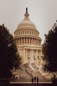 Capitol Reflection