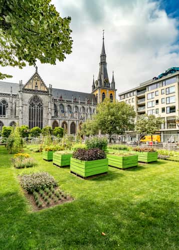 Cathédrale Saint-Paul de Liège