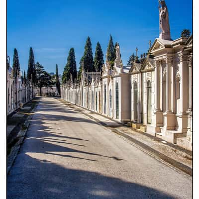 Cemitério dos Prazeres, Lisbon, Portugal