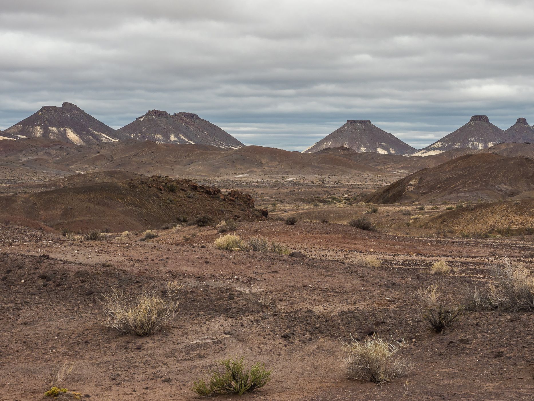 Extraterrestrial Landscape at Jaramillo Petrified Forest, Argentina