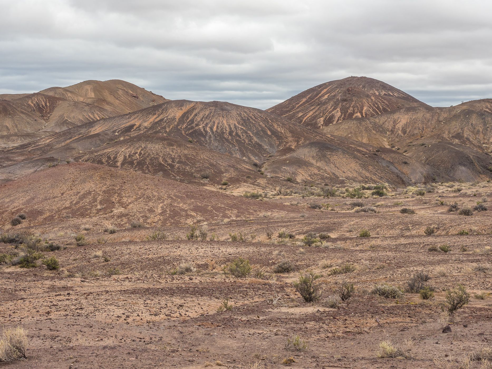 Extraterrestrial Landscape at Jaramillo Petrified Forest, Argentina