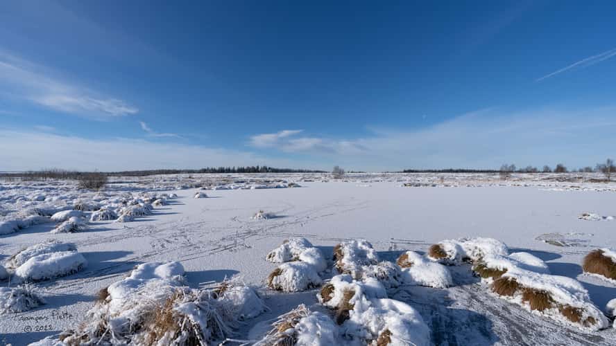 Fagne de Brackvenn