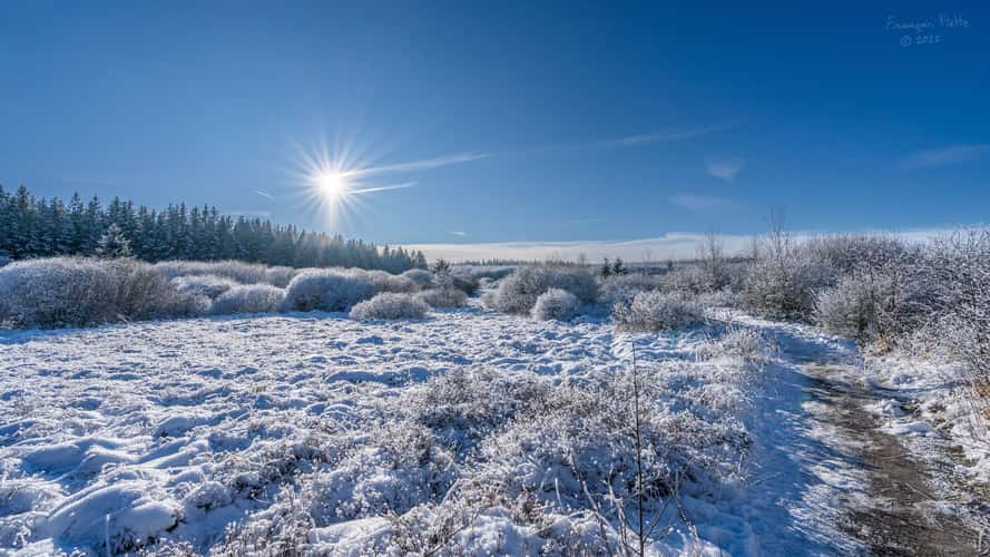 Fagne de Brackvenn