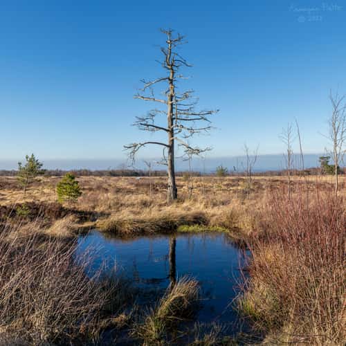 Fagne de Malchamps, Spa