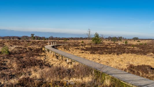 Fagne de Malchamps, Spa