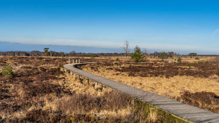 Fagne de Malchamps, Spa