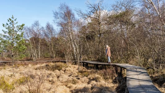 Fagne de Malchamps, Spa
