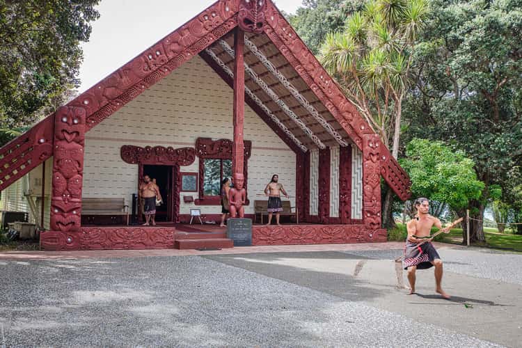 Greeting Waitangi, Northland, North Island