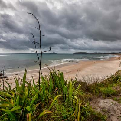 Hendersons Bay Beach , North Island, New Zealand