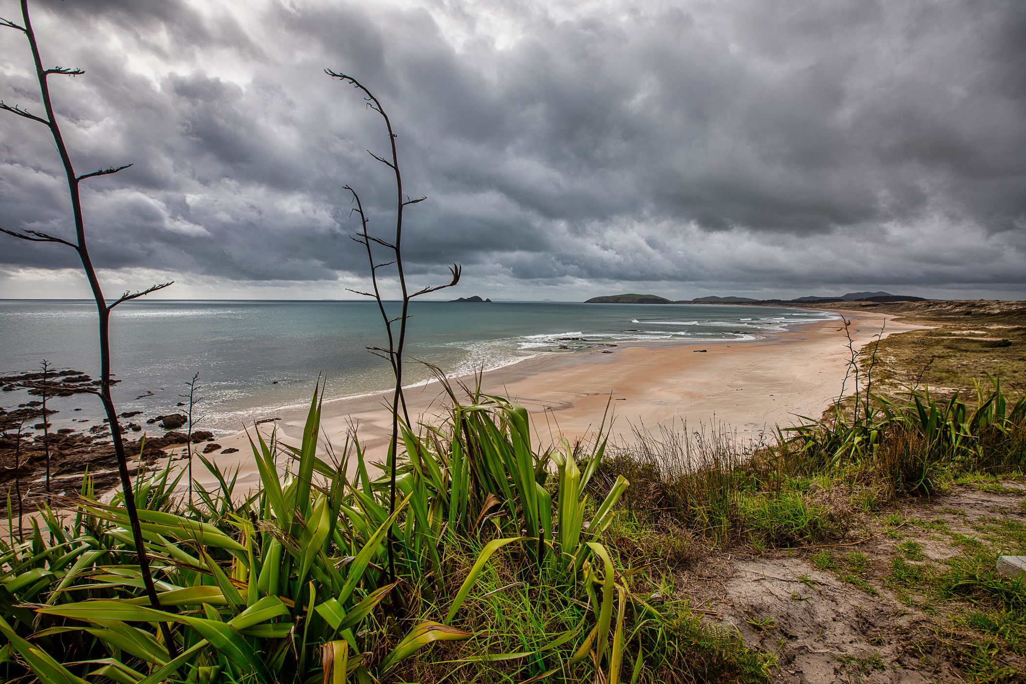 Hendersons Bay Beach , North Island, New Zealand