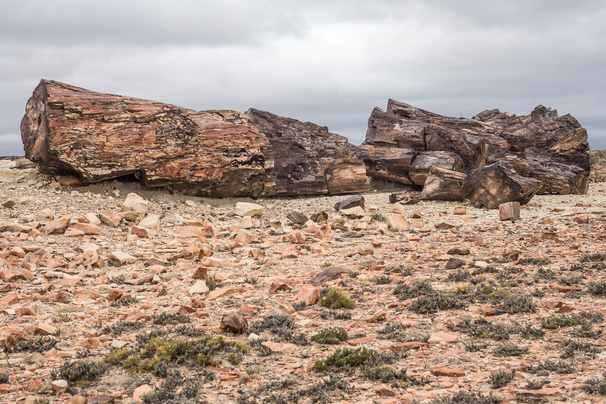 Jaramillo Petrified Forests National Park, Argentina