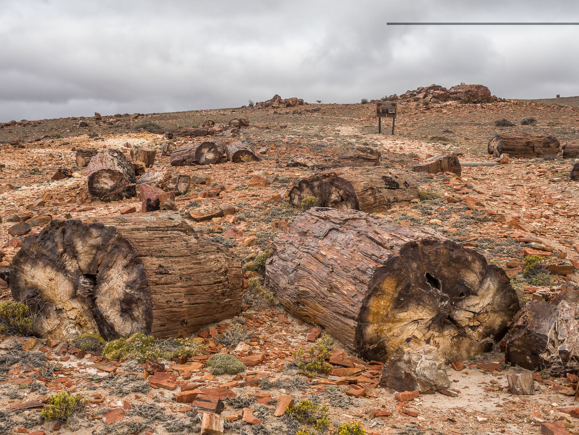 Jaramillo Petrified Forests National Park, Argentina