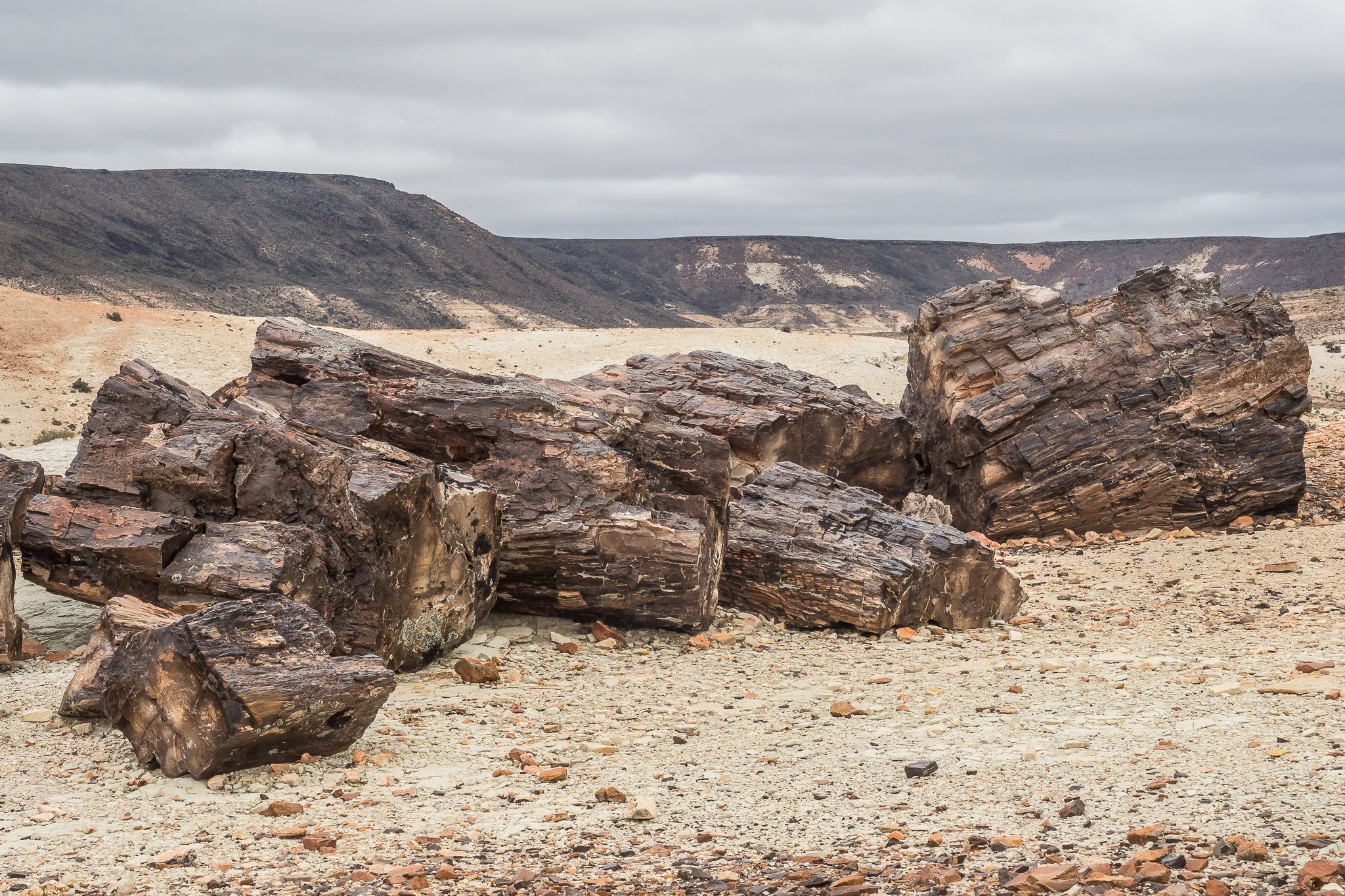 Jaramillo Petrified Forests National Park, Argentina