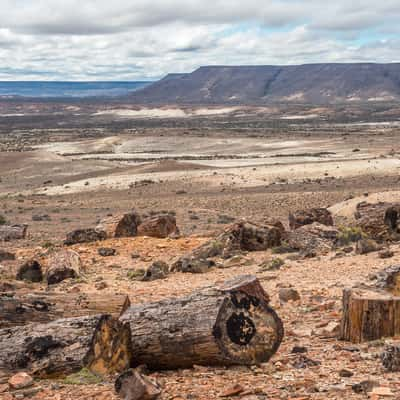 Jaramillo Petrified Forests National Park, Argentina