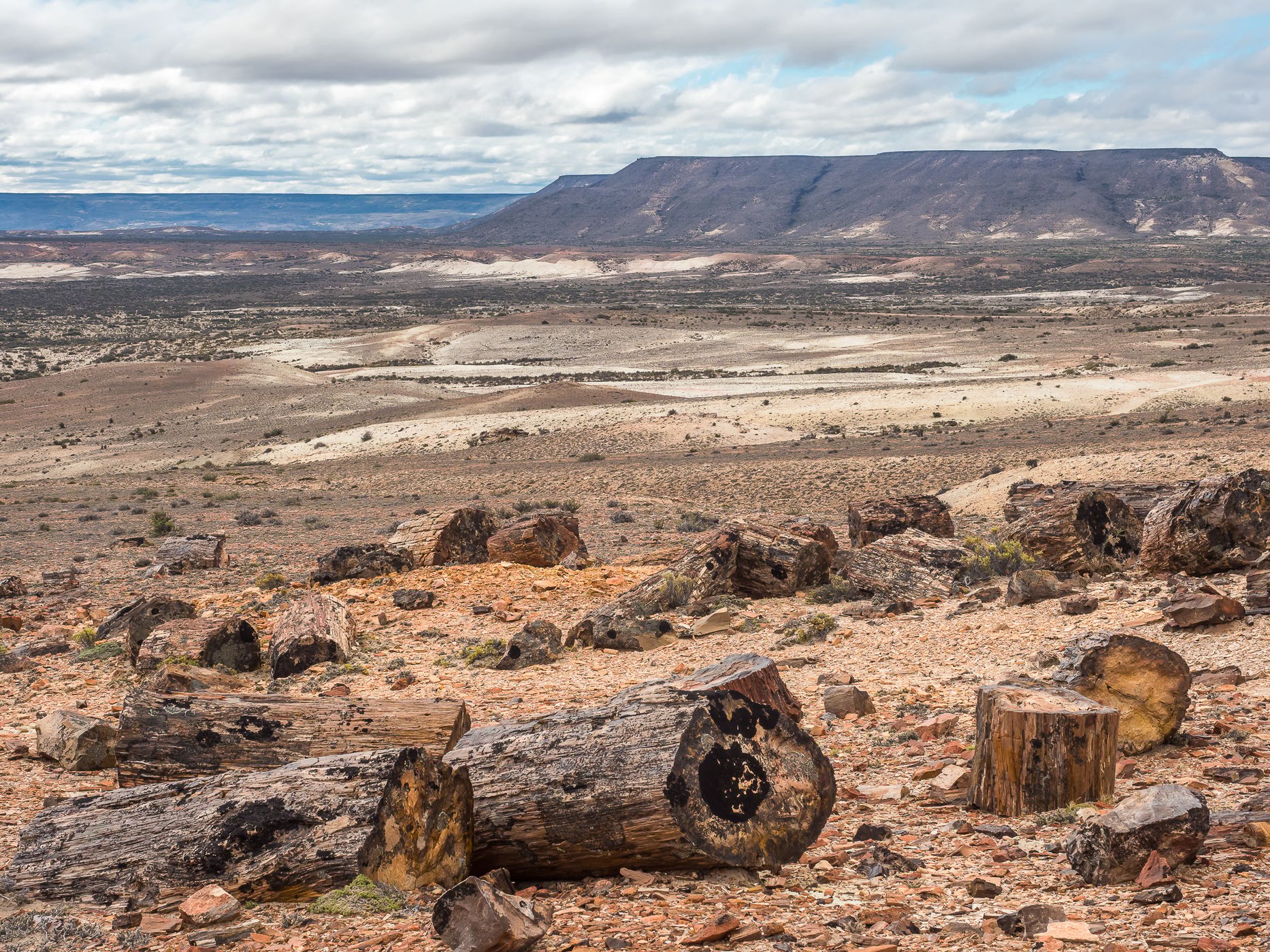Jaramillo Petrified Forests National Park, Argentina