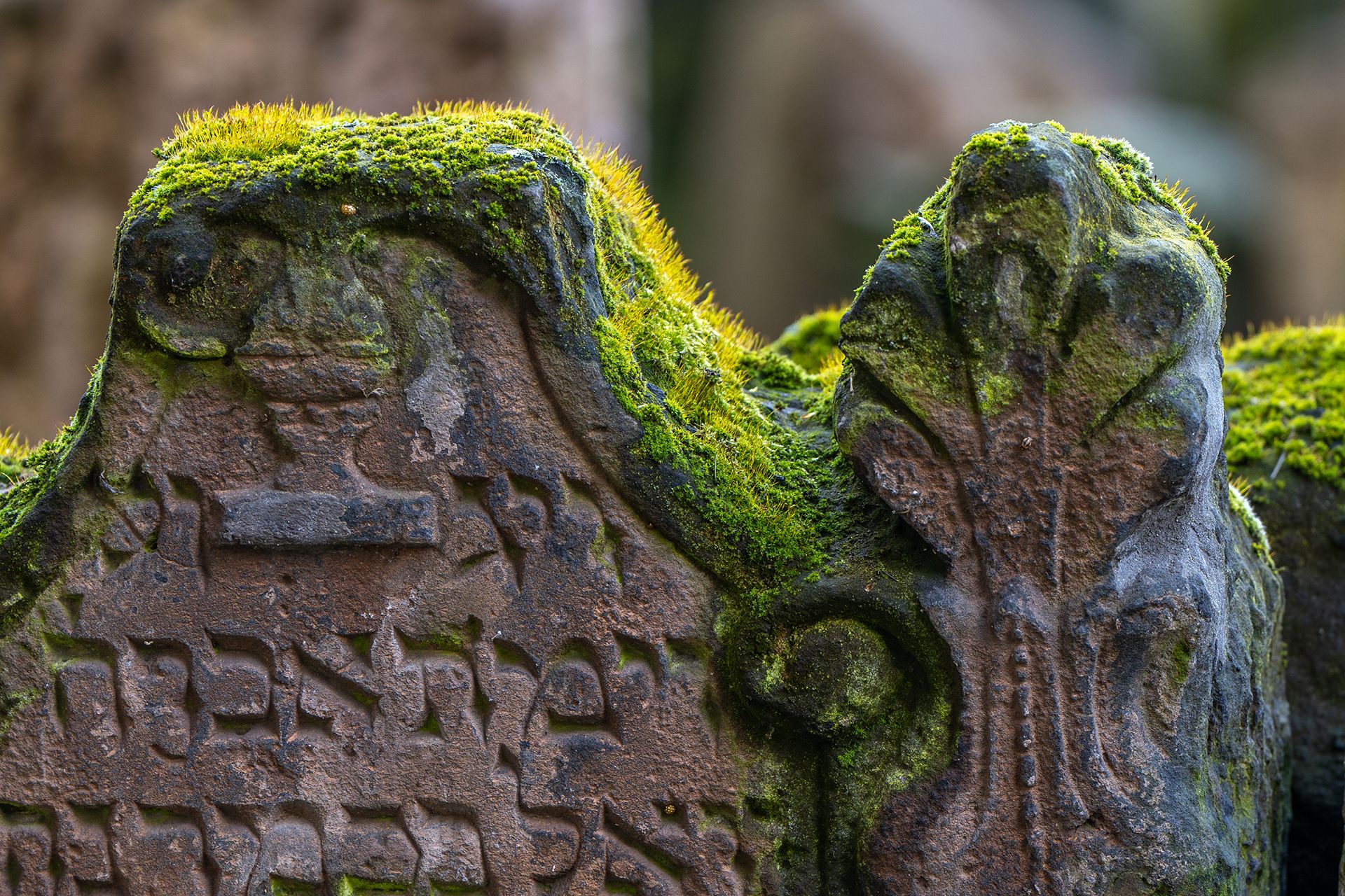 Jewish Cementery, Czech Republic