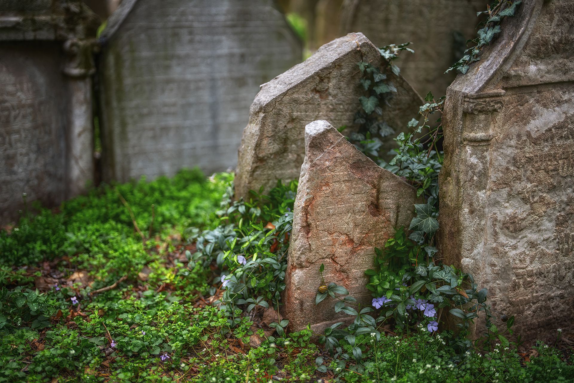 Jewish Cementery, Czech Republic