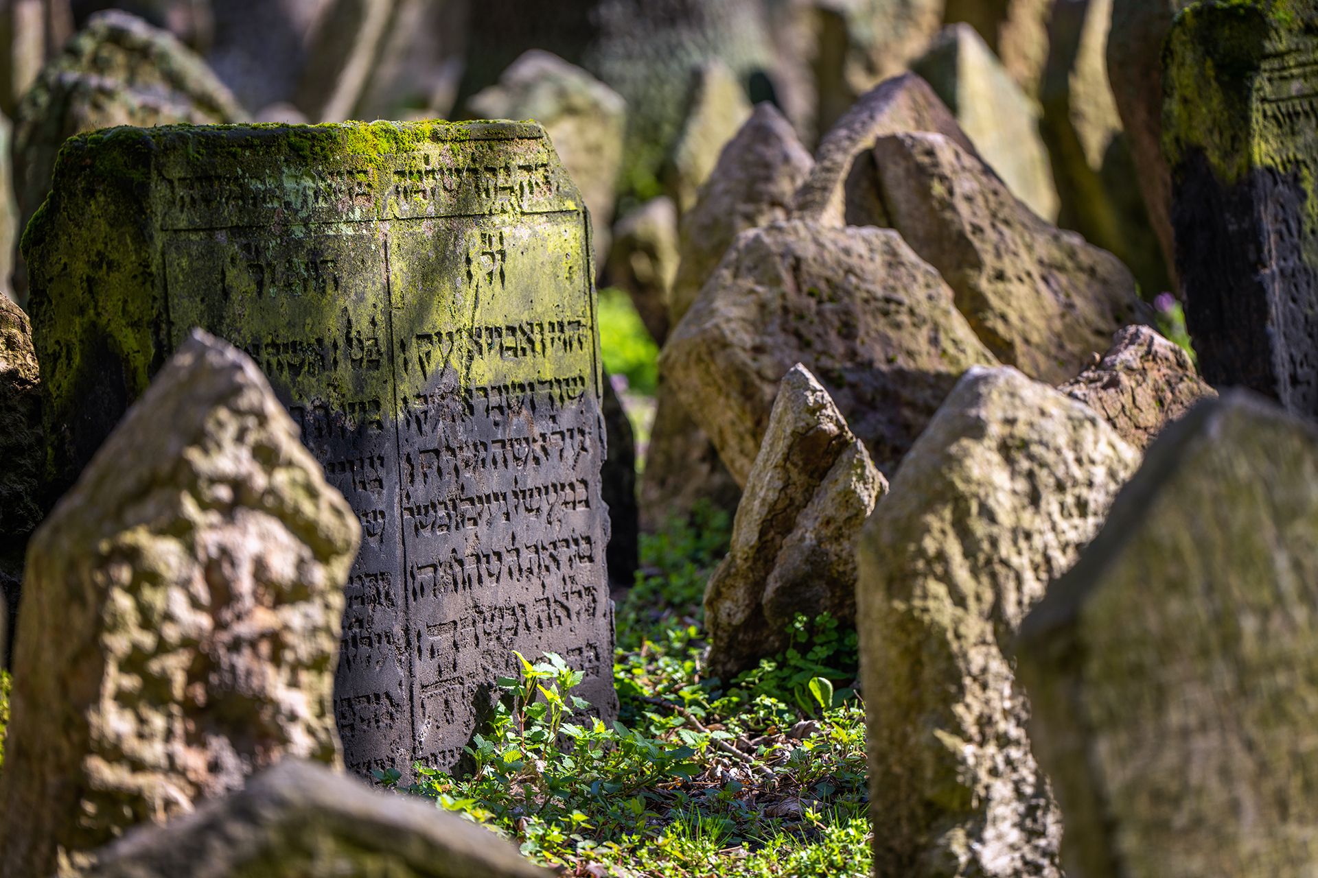 Jewish Cementery, Czech Republic