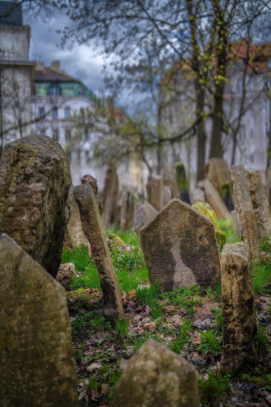 Jewish Cementery, Czech Republic