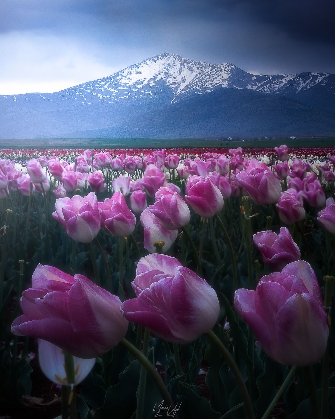 Kızılkuyu, Turkey (Türkiye)