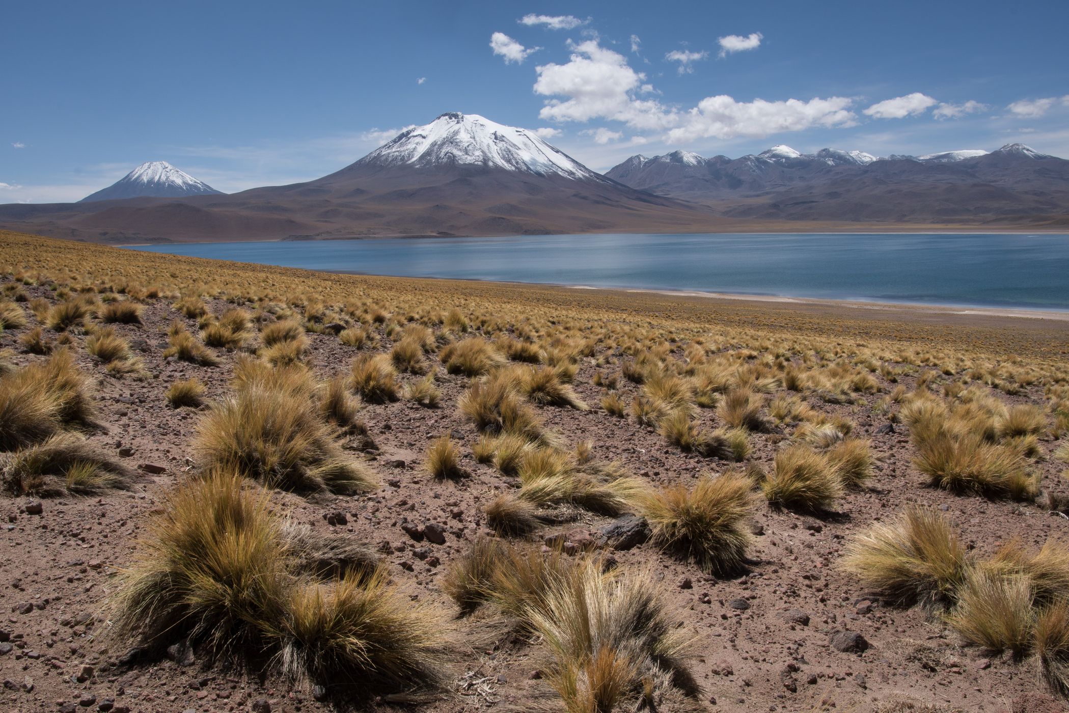 Laguna Miscanti, Chile