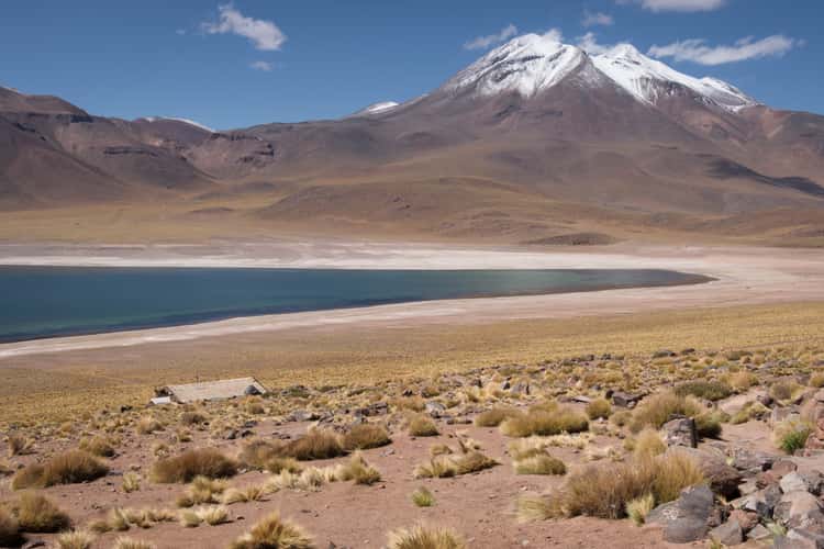 Laguna Miscanti