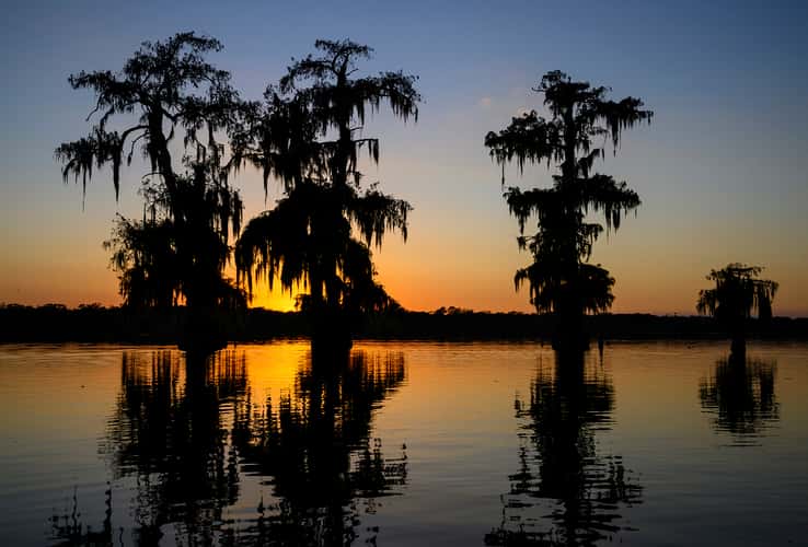Lake Martin