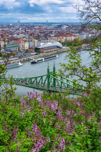 Liberty Bridge, Budapest
