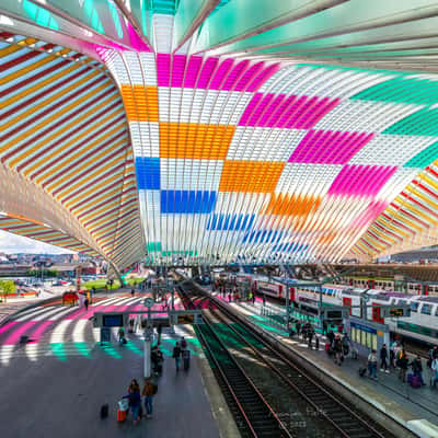 Liège-Guillemins railway station., Belgium