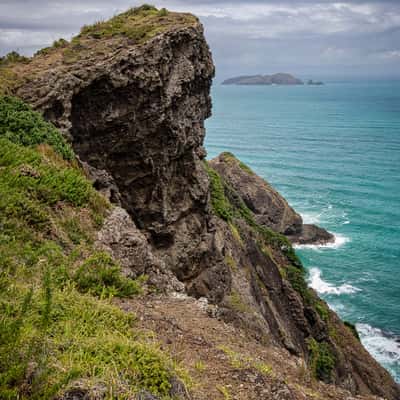 Looking North, Cape Reinga, North Island, New Zealand