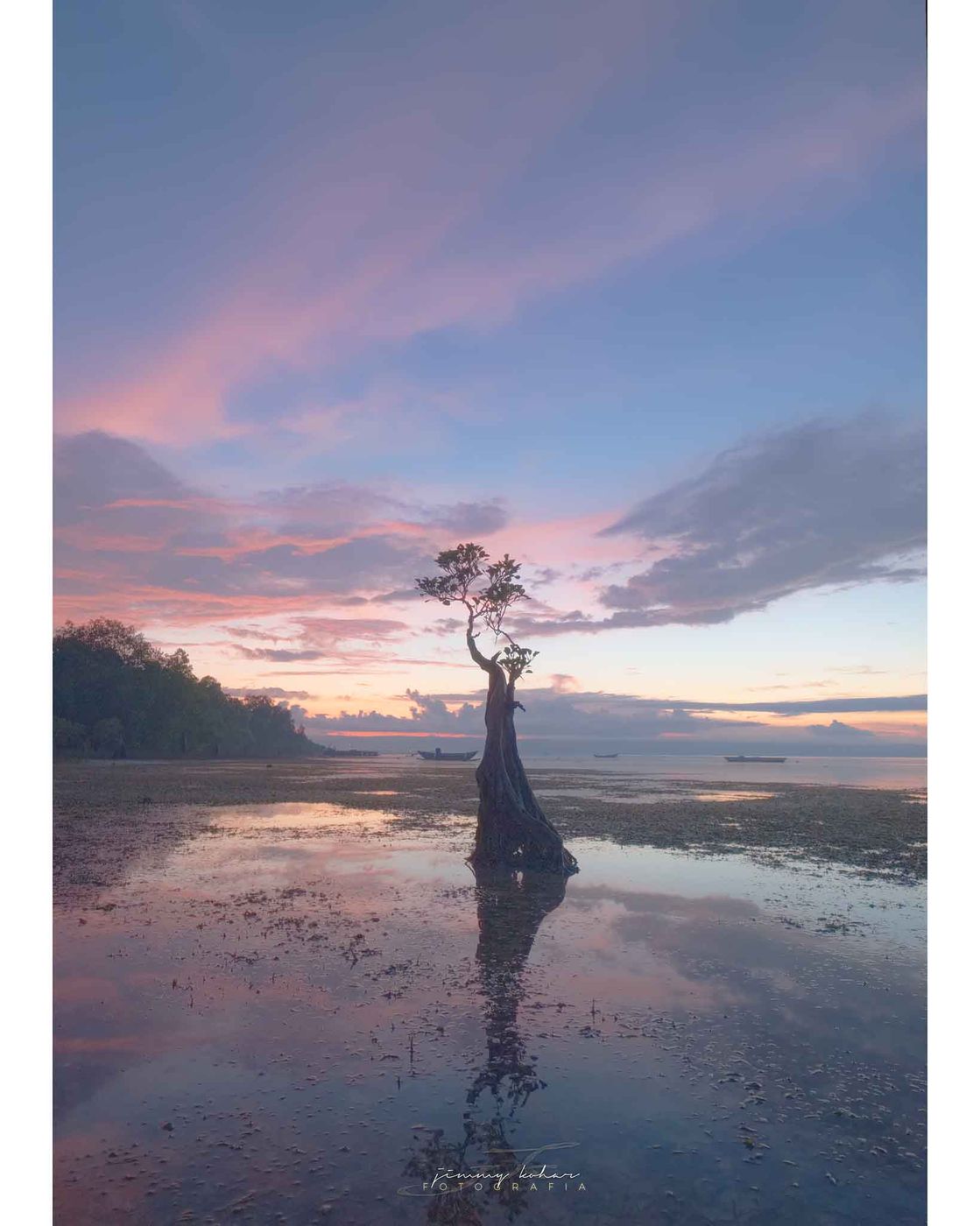 Mangrove Trees of Walakiri Beach, Indonesia