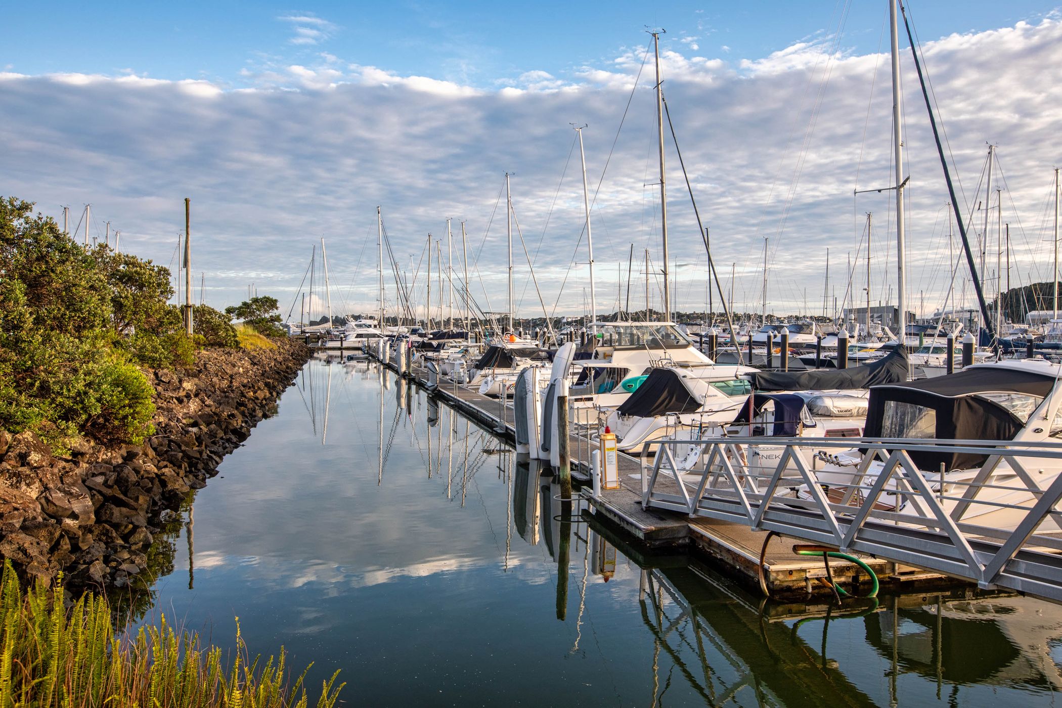 Marina Half Moon Bay, Auckland, North Island, New Zealand