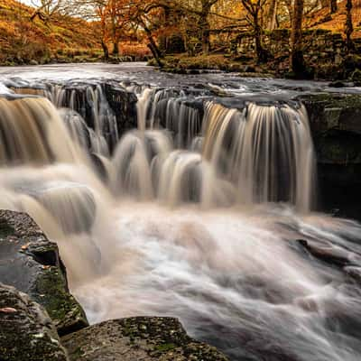 Nelly Ayre Foss, United Kingdom