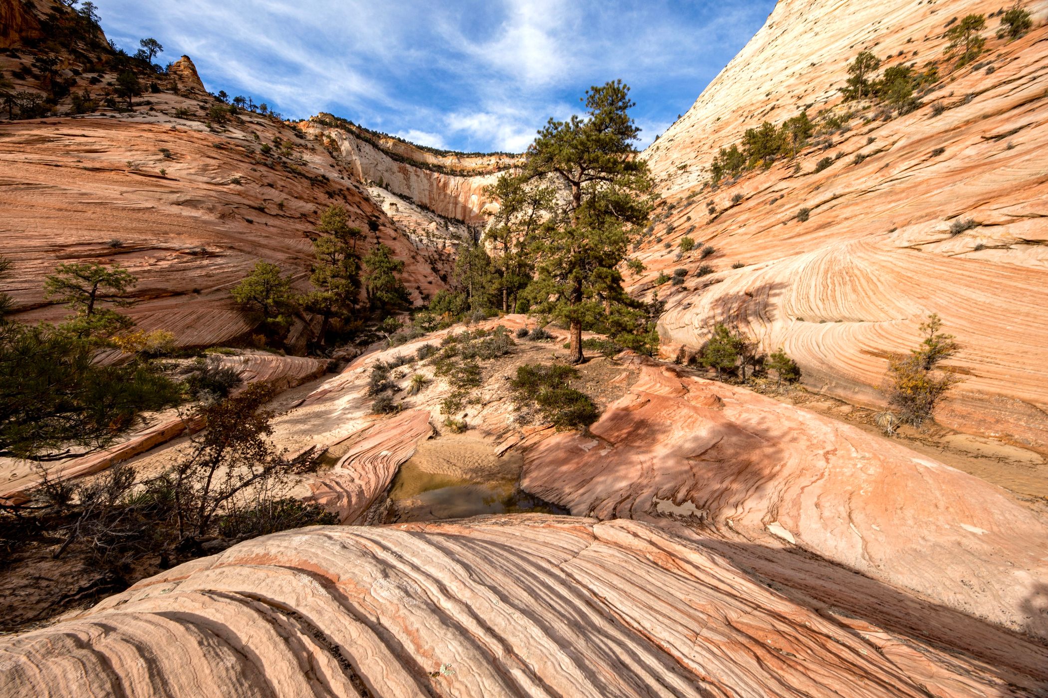 Petroglyph Canyon, USA