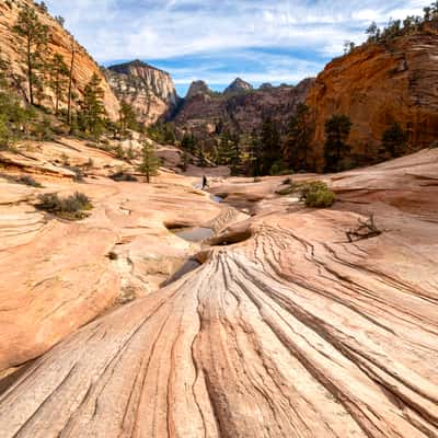 Petroglyph Canyon, USA