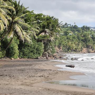 Plage de Grand Anse, Guadeloupe