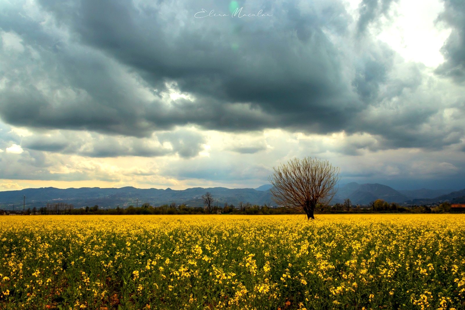 Campo - Top Spots for this Photo Theme
