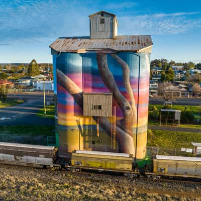 Silo Art, Dunedoo, New South Wales, Australia