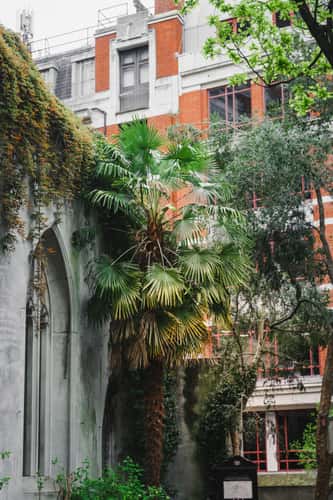 St Dunstan in the East church gardens