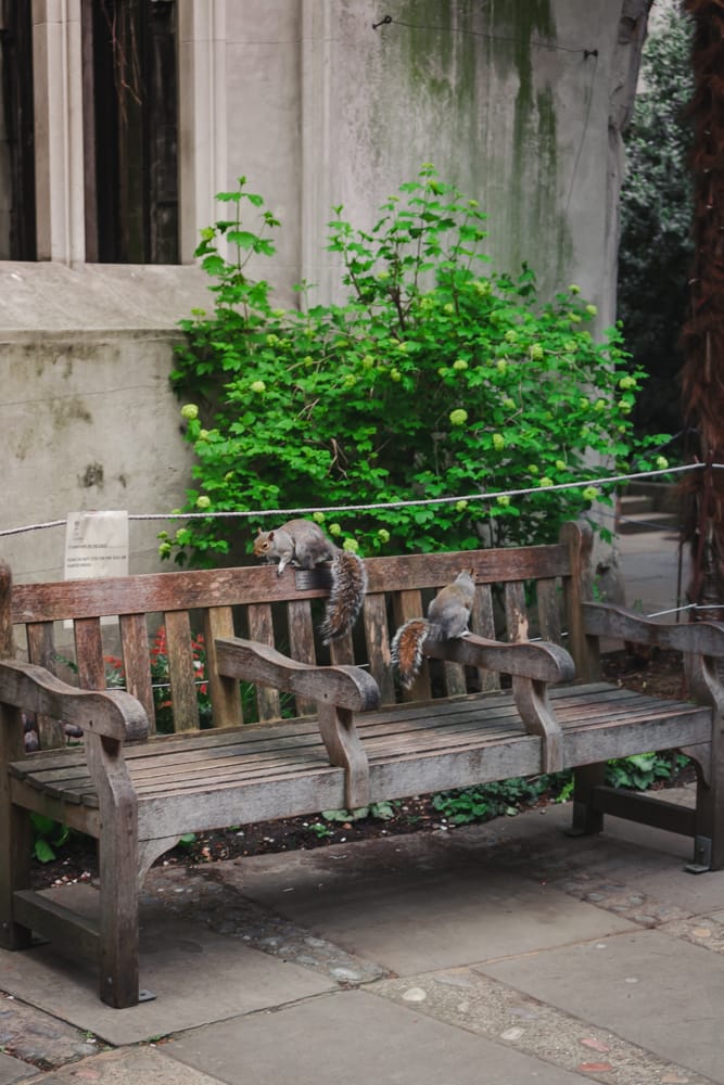 St Dunstan in the East church gardens, United Kingdom